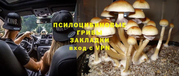 ALPHA PVP Верхнеуральск